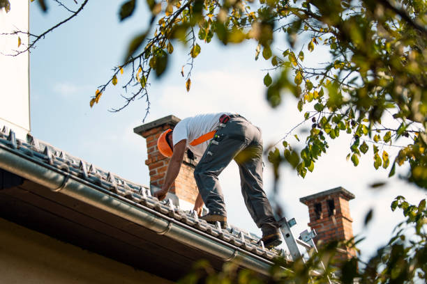 Best Shingle Roofing Installation  in Fritz Creek, AK