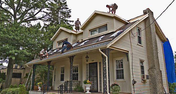 Best Shingle Roofing Installation  in Fritz Creek, AK
